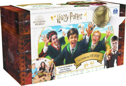 Harry Potter : La Course Au Vif D'or