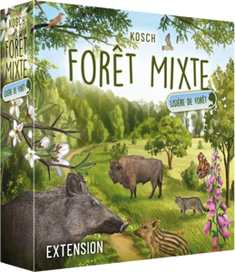 Forêt Mixte - Lisière de forêt