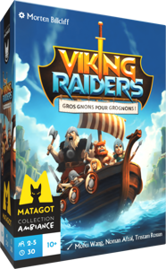 Viking Raiders